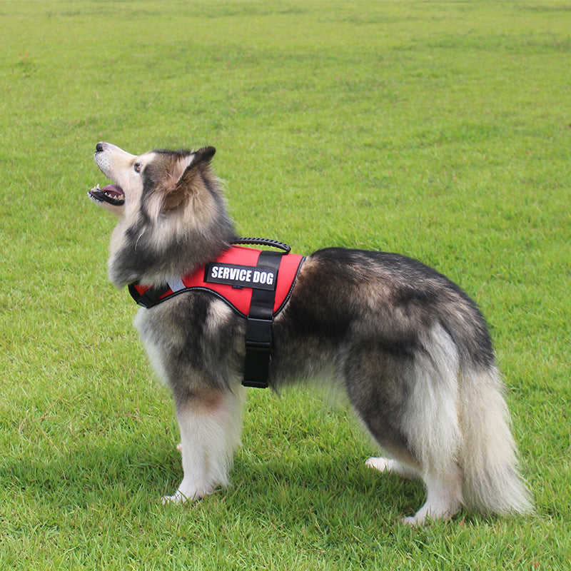 Pet harness