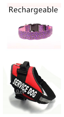 LED Dog Collar