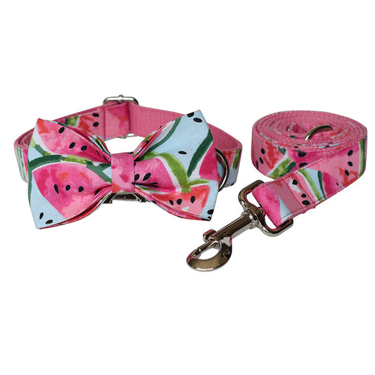 Pet Collar And Leash Set