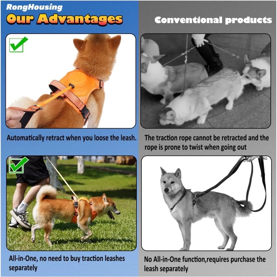 Dog Harness With Leash