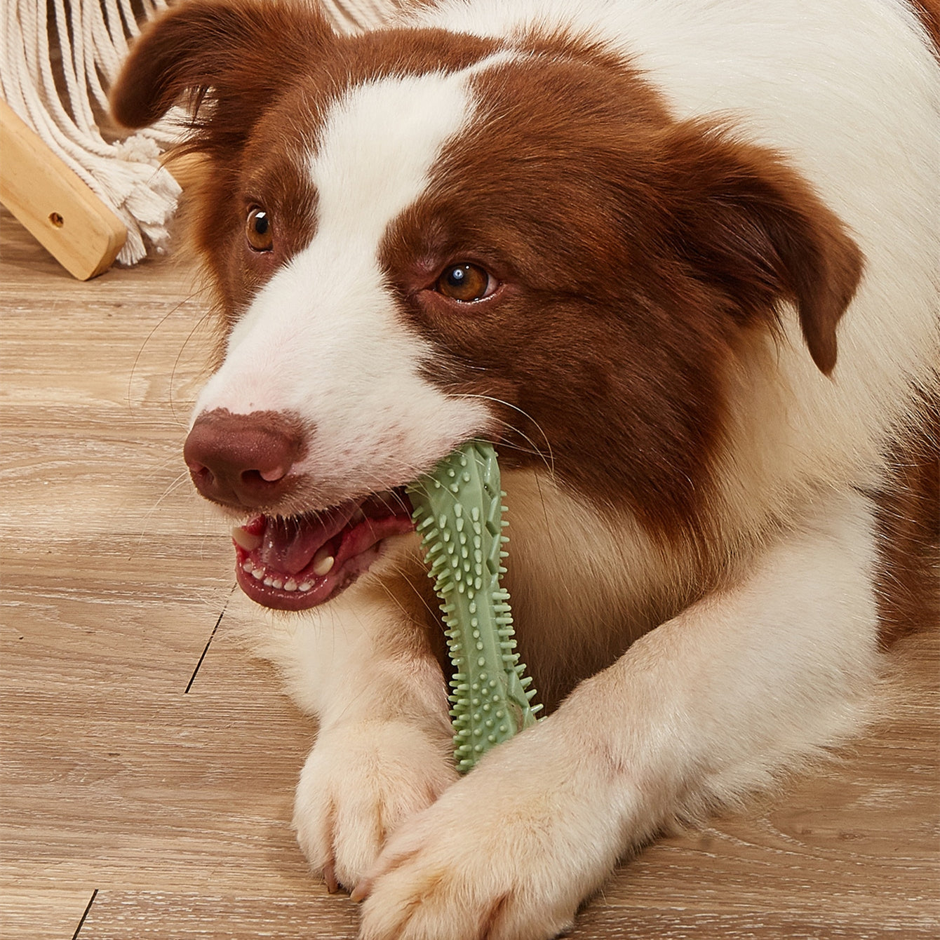 Dog Chew Toy Toothbrush