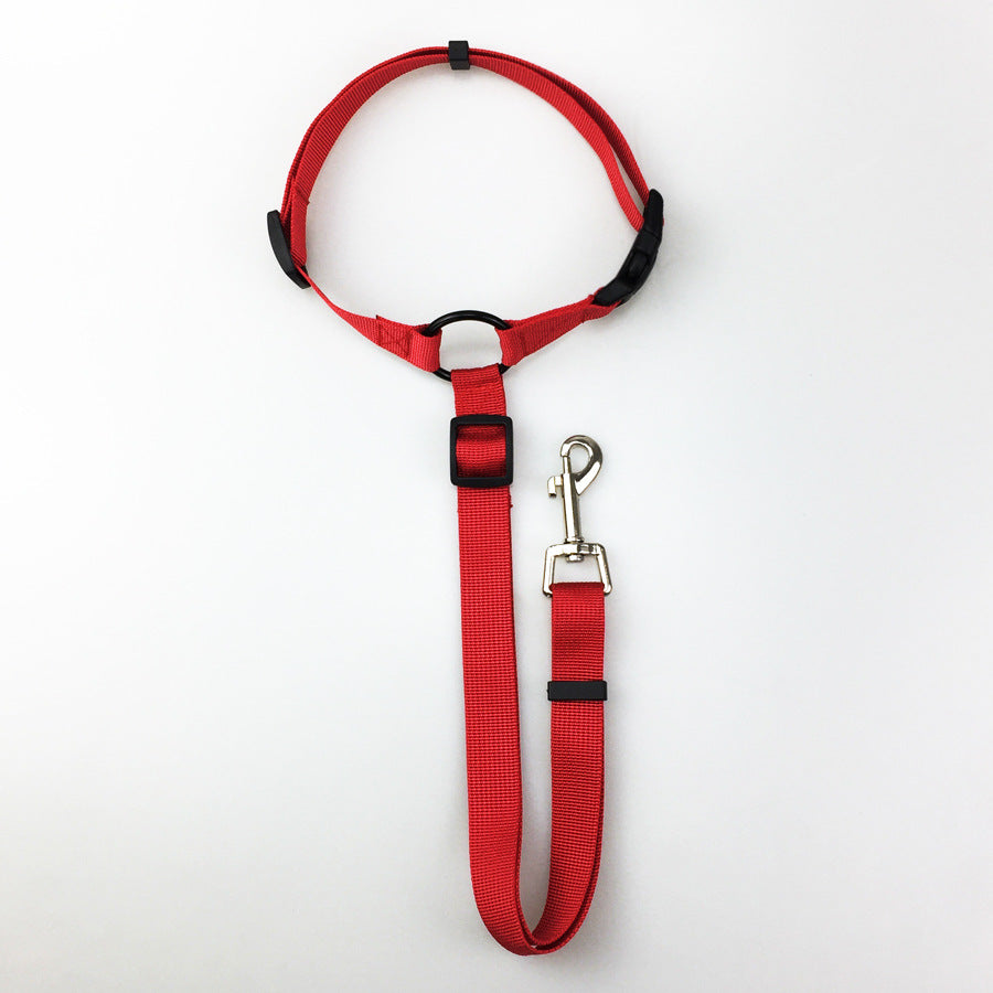 Pet safety leash