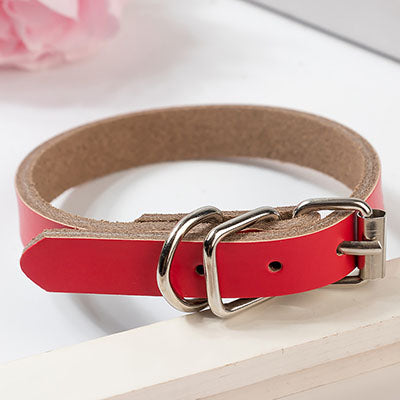 Leather dog collar