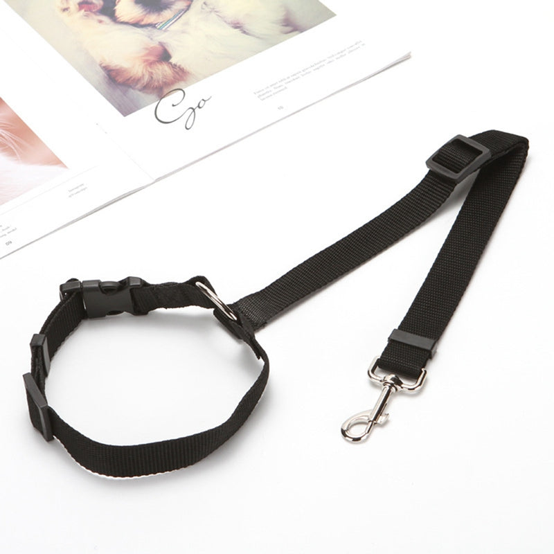 Pet Car Rear Seat Safety Belt