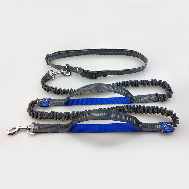 dog leash double elastic