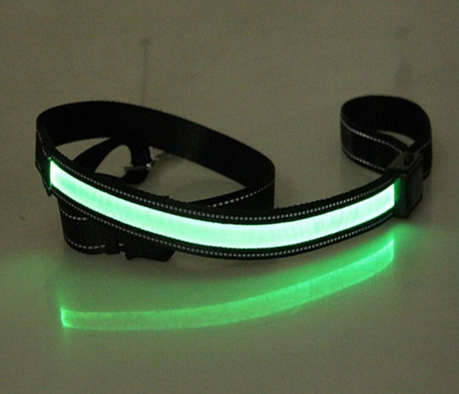 Fluorescent dog collar