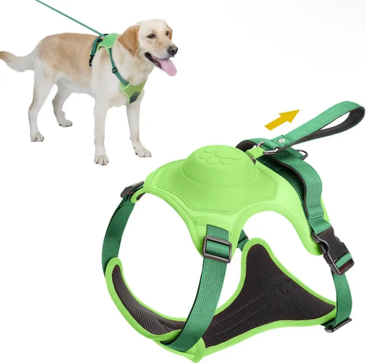 Dog Harness With Leash