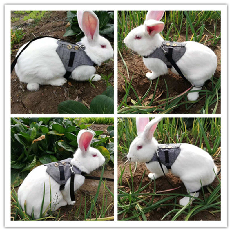 Rabbit Harness