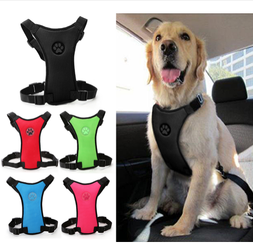 Dog Breathable mesh Harness