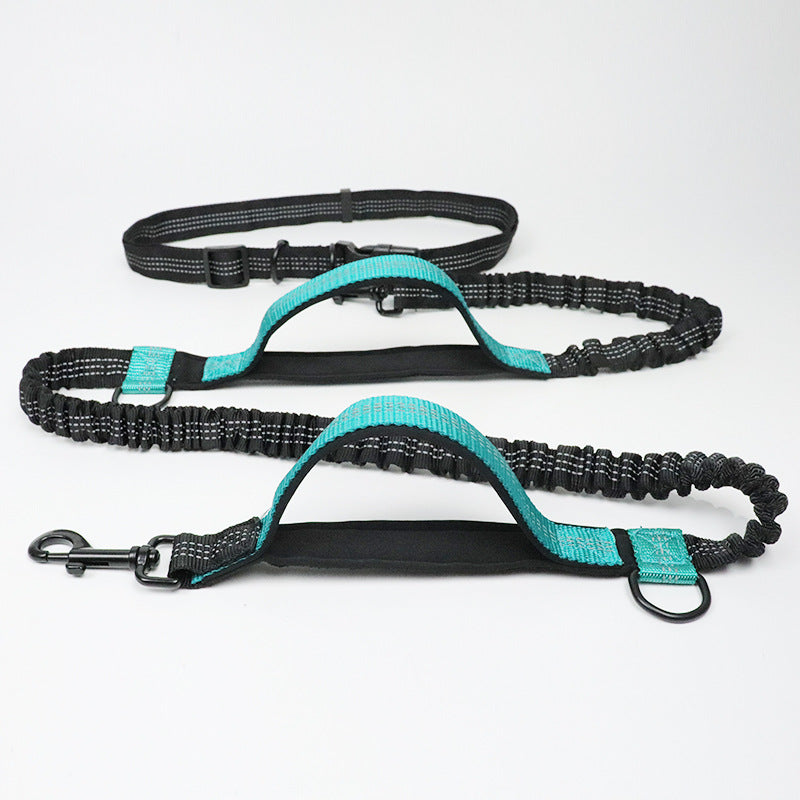 dog leash double elastic