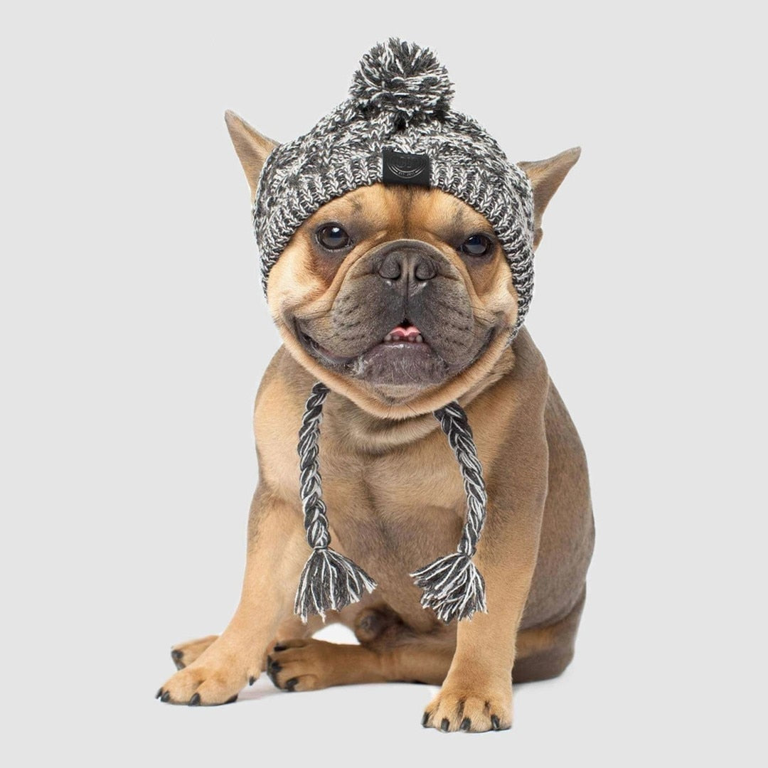 Winter Fashion Dog Hat