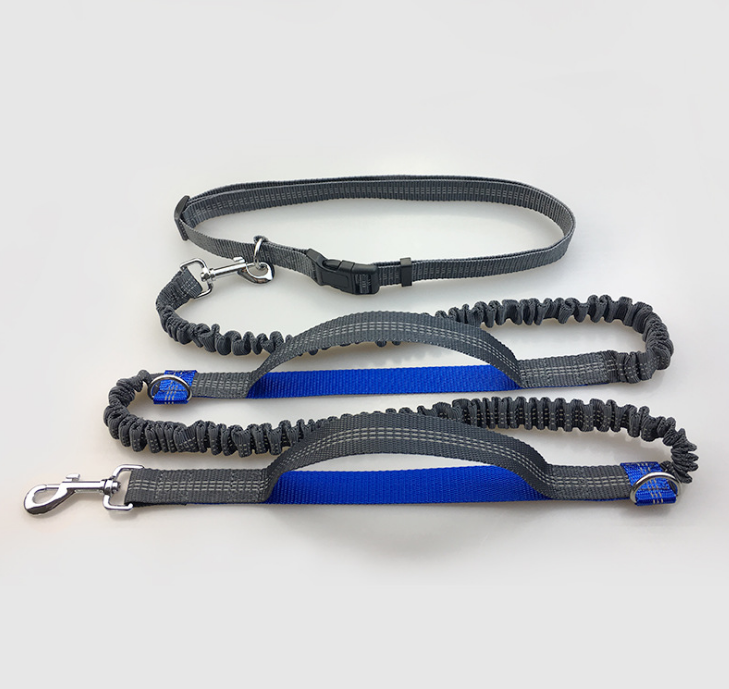 dog leash double elastic