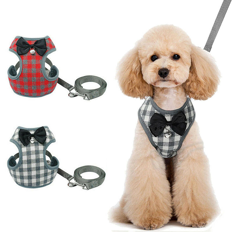 Dog leash And Harness