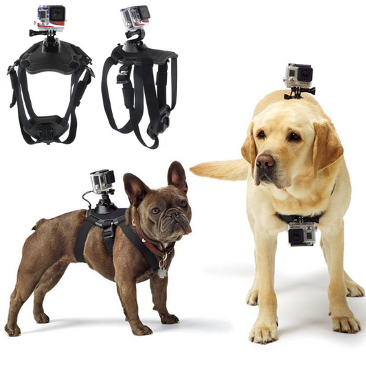 GoPro Hero Dog Harness