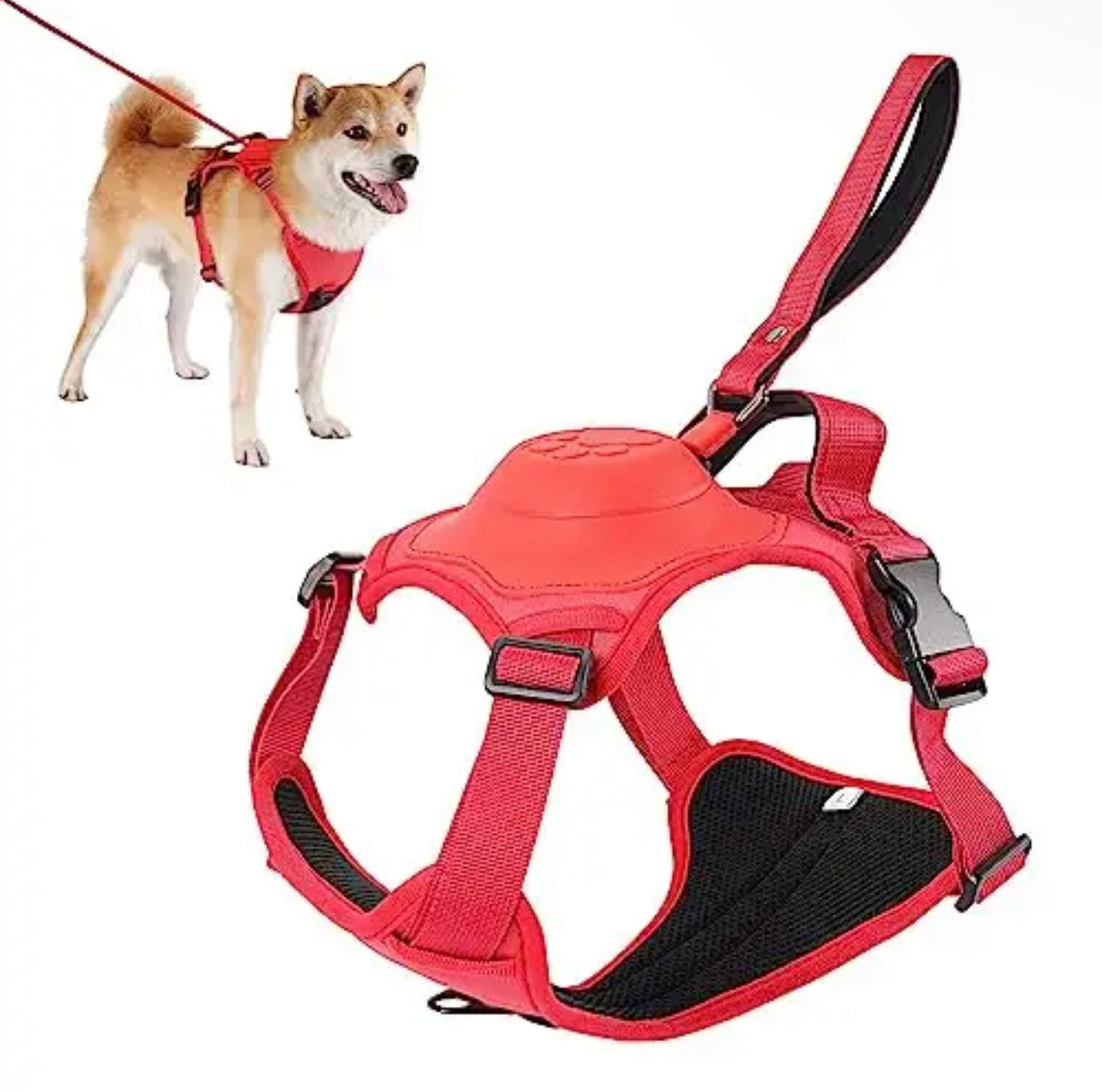 Dog Harness With Leash