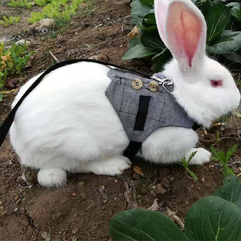 Rabbit Harness