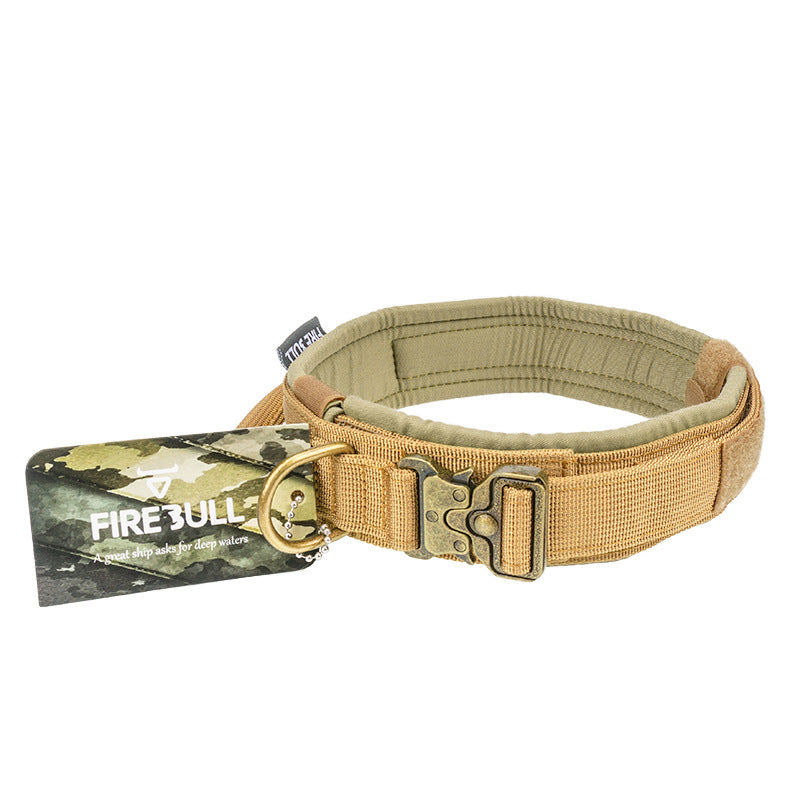 Pet collar leash