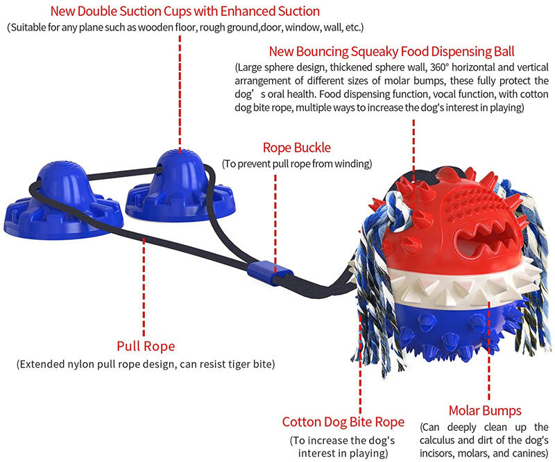 Suction Cup Chew Toy