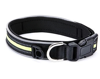 Pet Collar