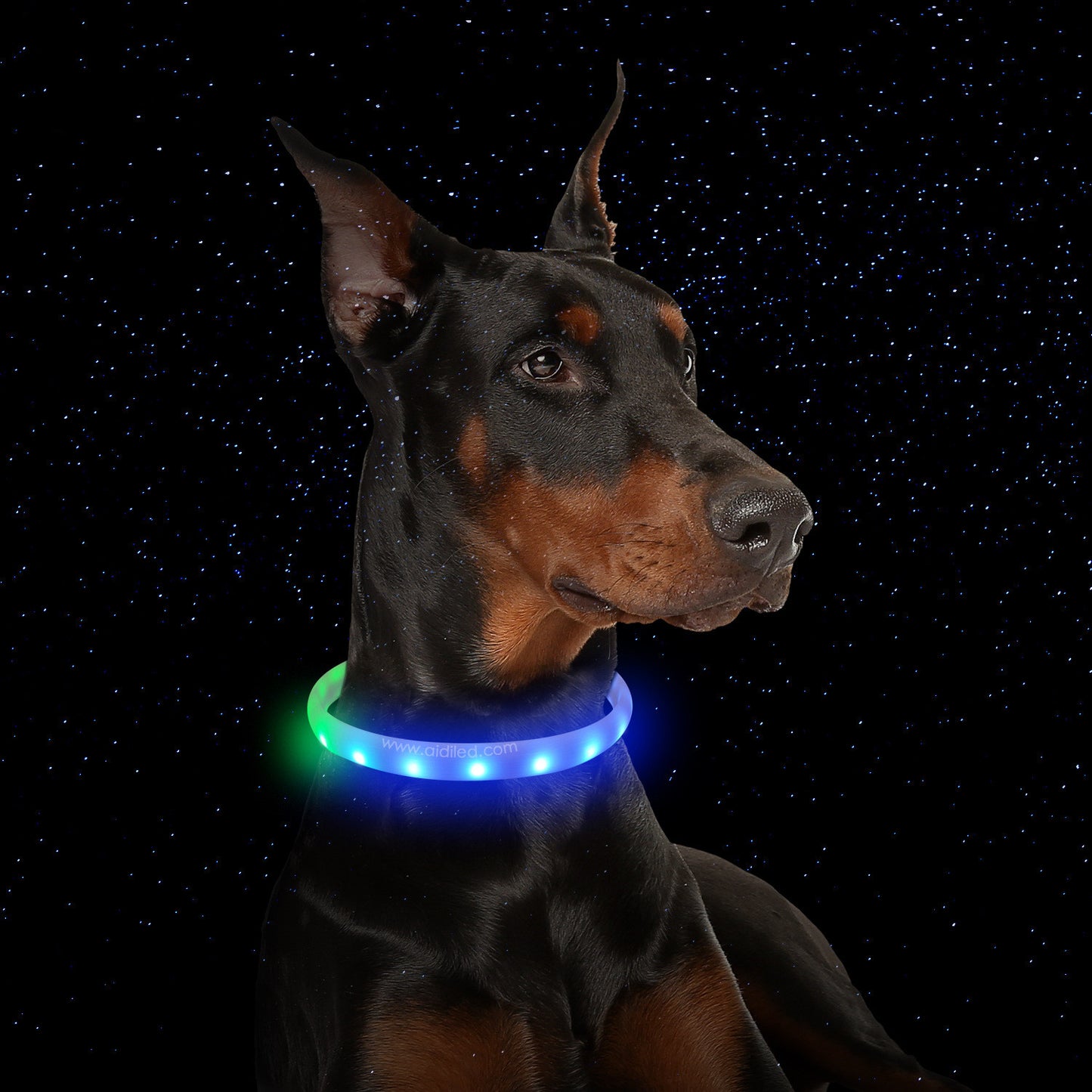 Flash RGB Collar For Dogs