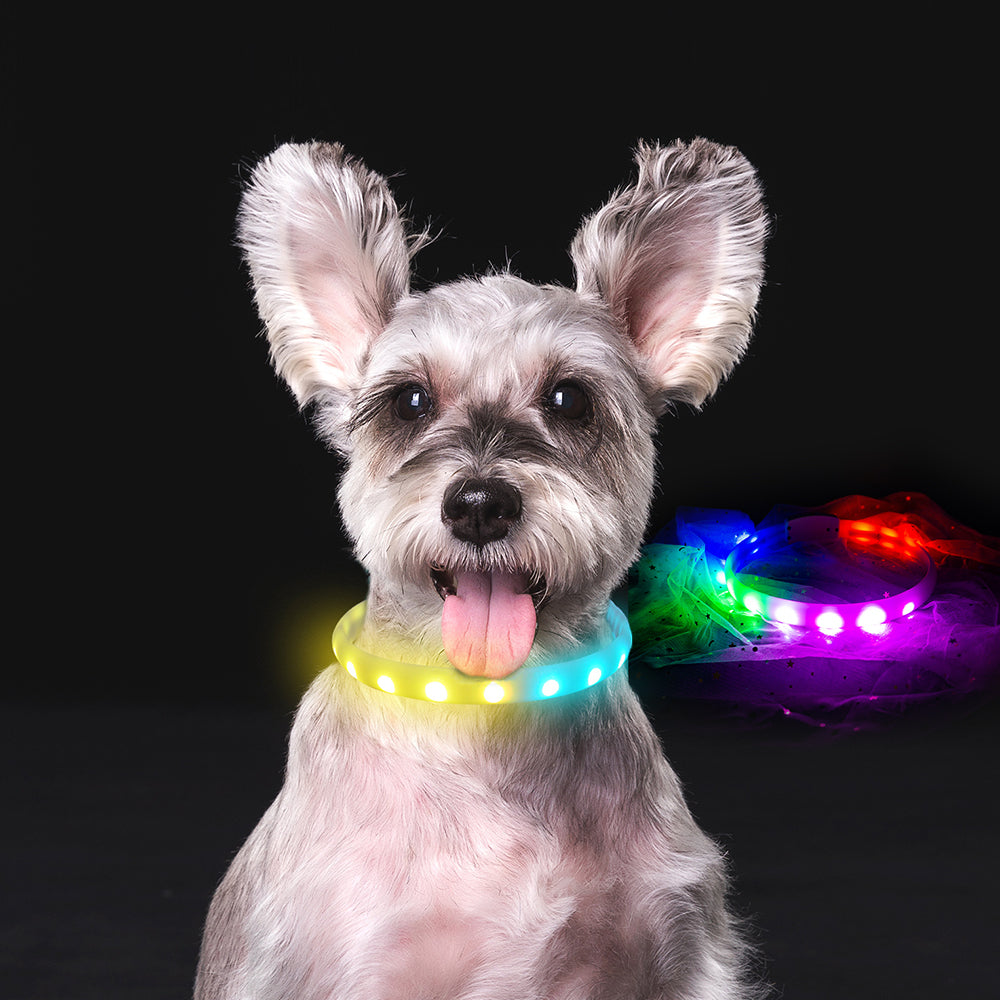 Flash RGB Collar For Dogs