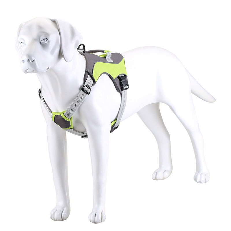 Dog Harness