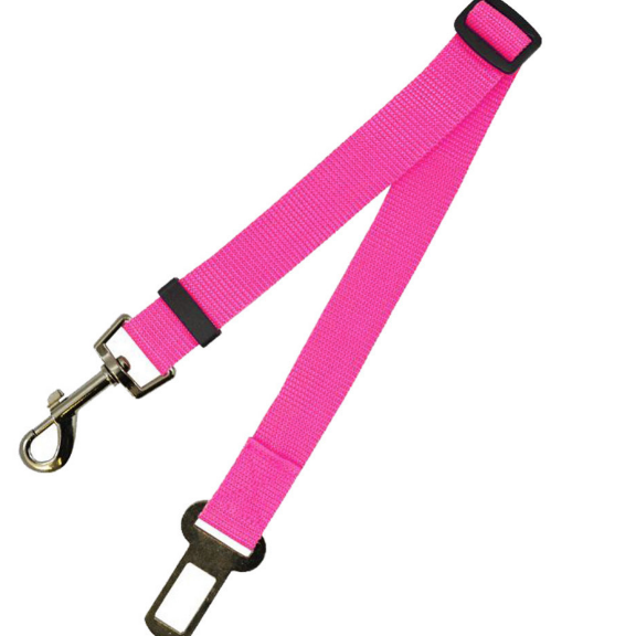 Fixed Strap Polyester Dog Leash