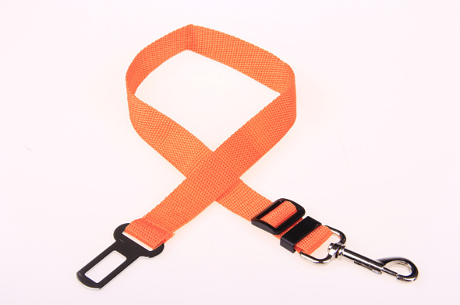 Fixed Strap Polyester Dog Leash