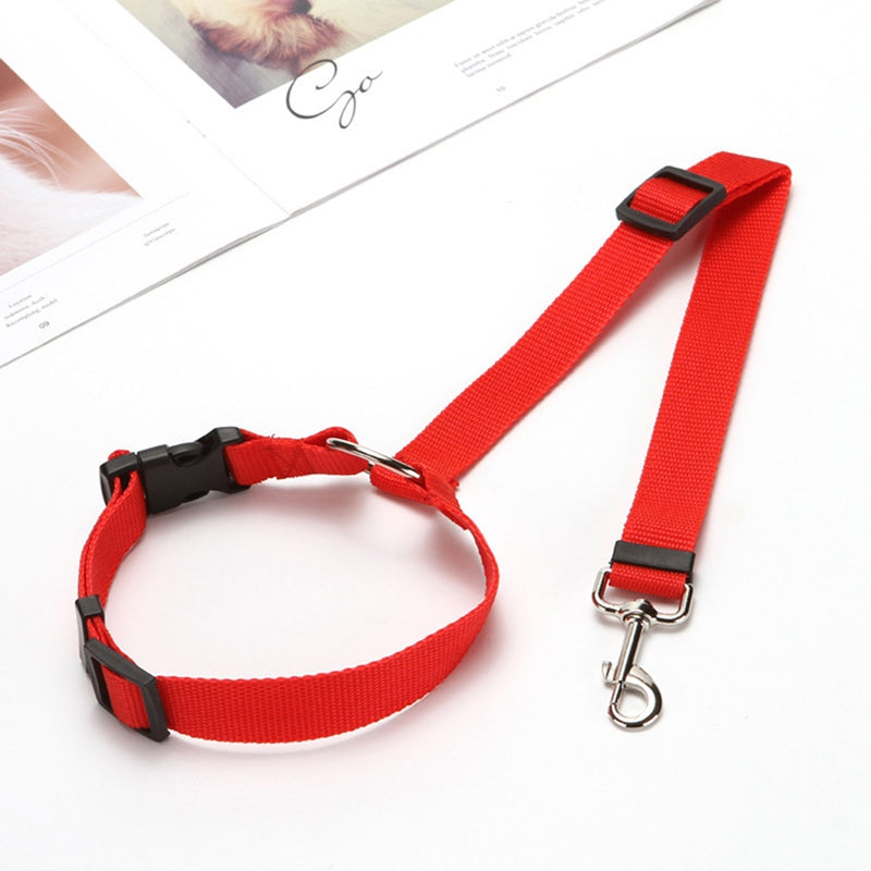 Pet Car Rear Seat Safety Belt