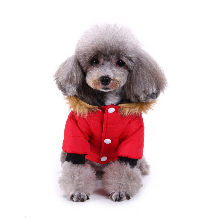 Winter clothing for pets