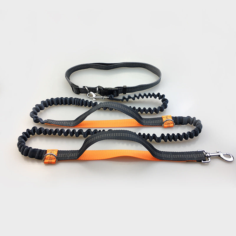 dog leash double elastic