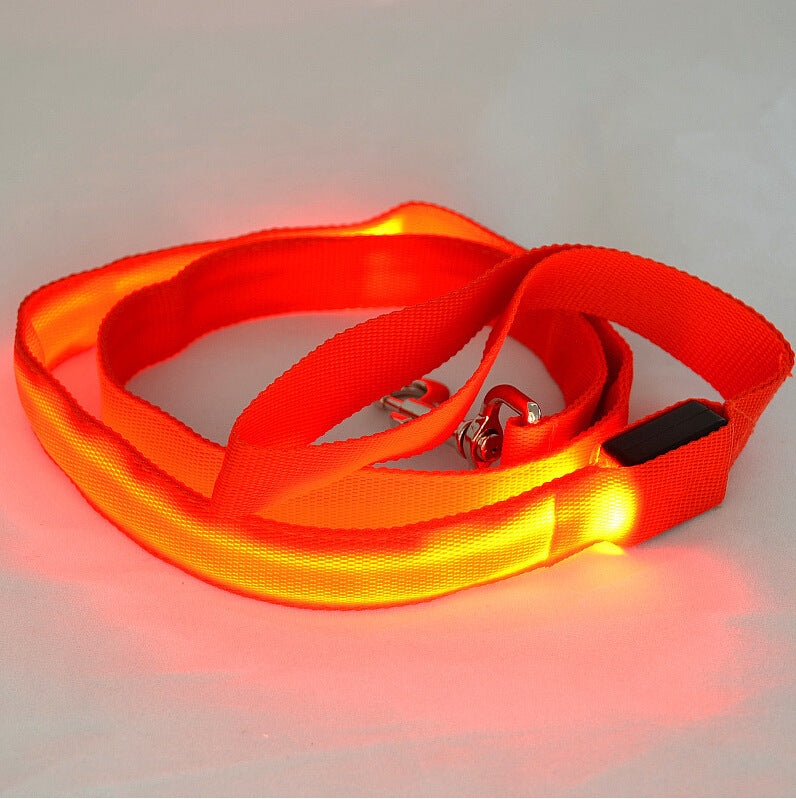 Glowing Pet Leash