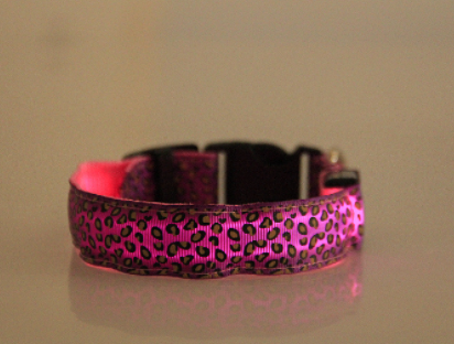 LED Dog Collar