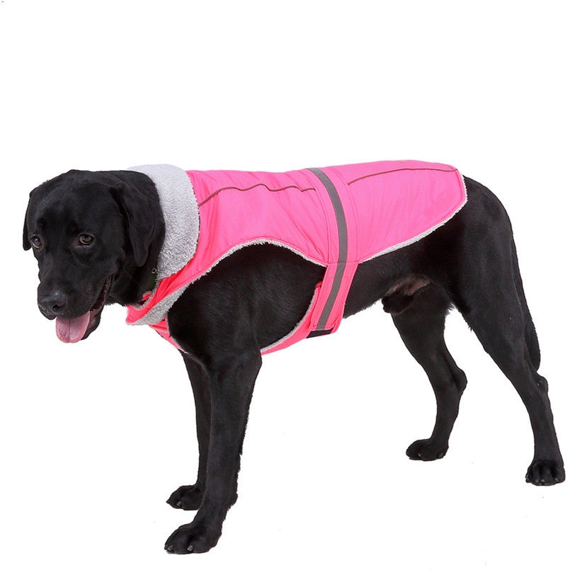 Pet clothes winter