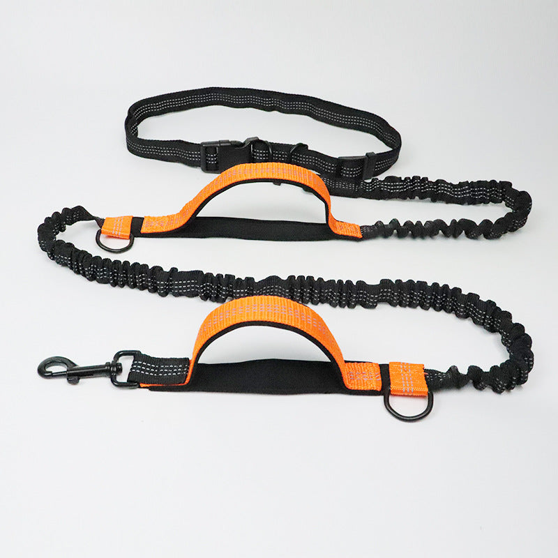 dog leash double elastic