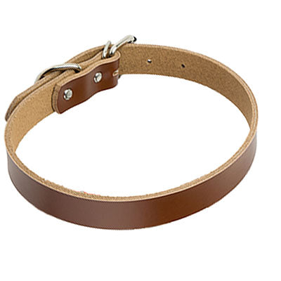 Leather dog collar