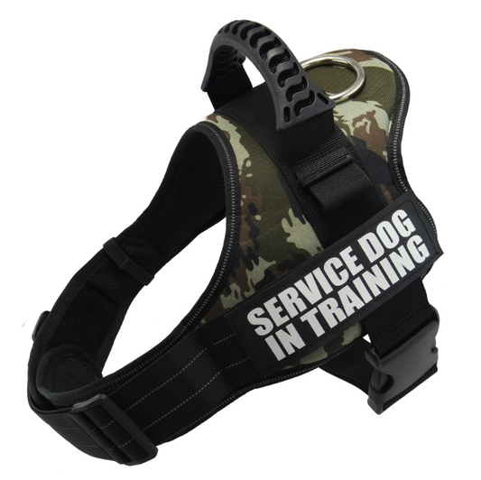 Dog Harness