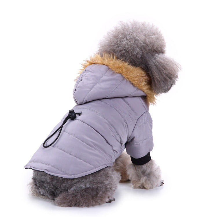 Winter clothing for pets