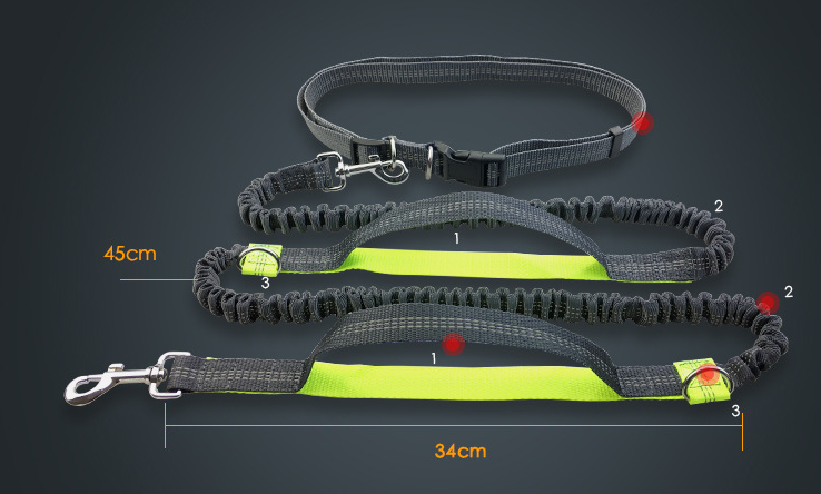 dog leash double elastic