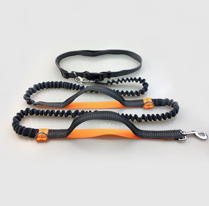 dog leash double elastic