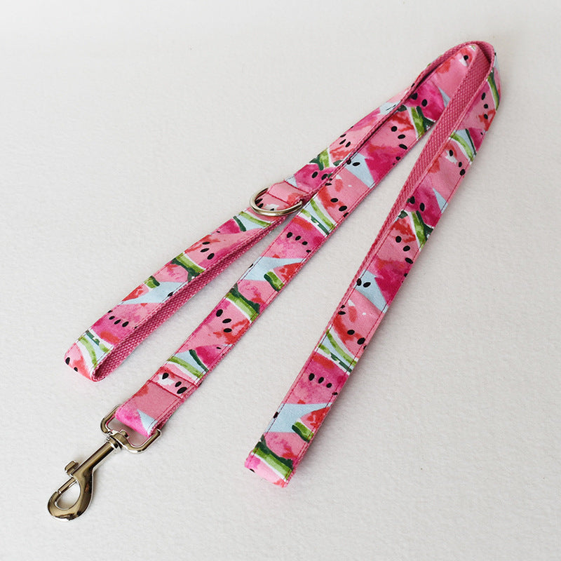 Pet Collar And Leash Set