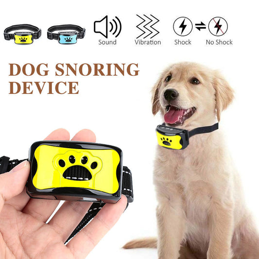 Dog Training Collar