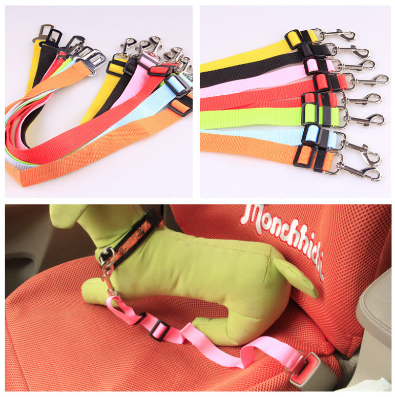 Fixed Strap Polyester Dog Leash