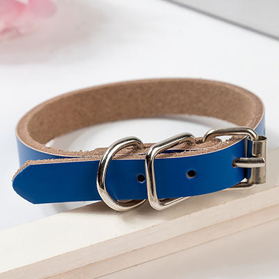 Leather dog collar