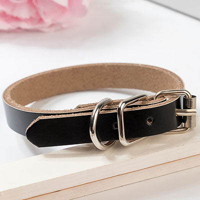 Leather dog collar