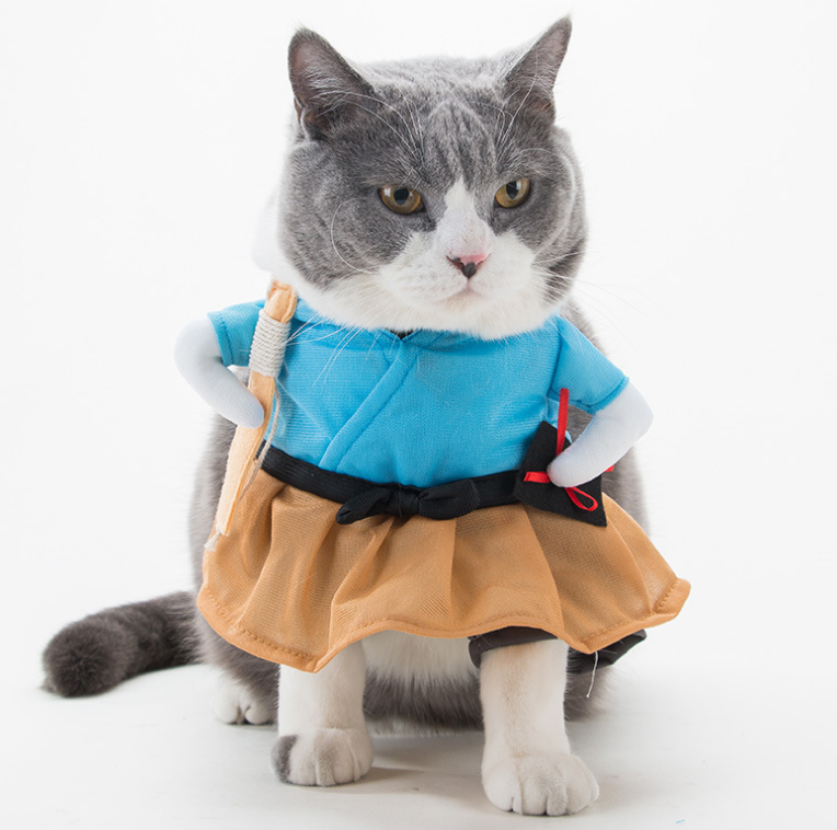 Pet Clothes