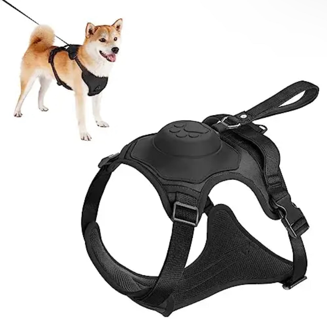 Dog Harness With Leash