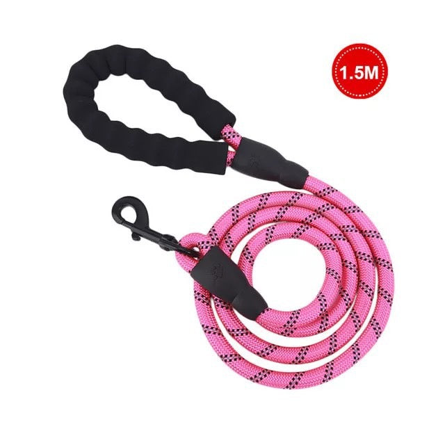 Dog Leash