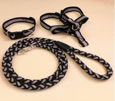 Pet dog leash