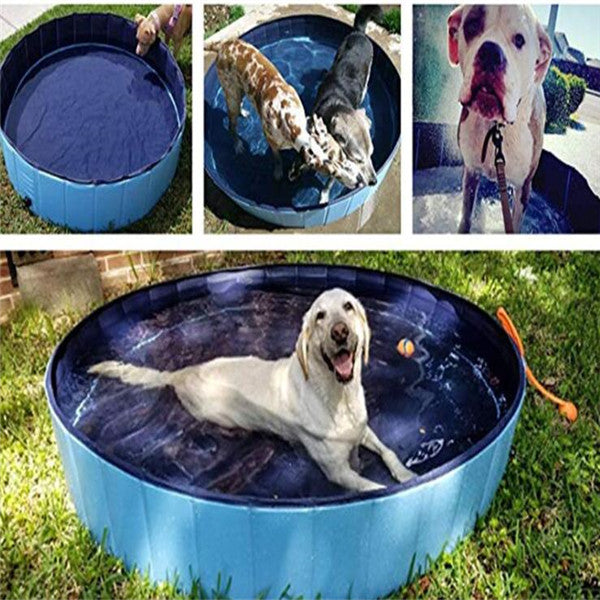 Pet Pool